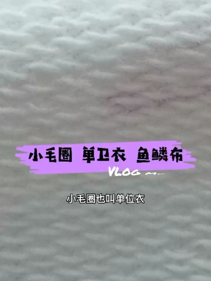 针织面料,小毛圈,单卫衣,鱼鳞布