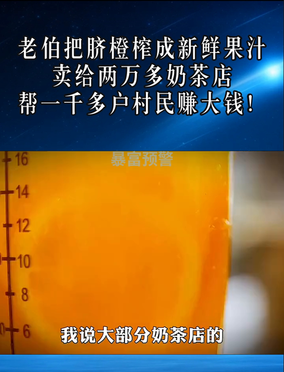 老伯把脐橙榨成新鲜果汁,卖给两万多奶茶店,帮一千多户村民赚大钱!