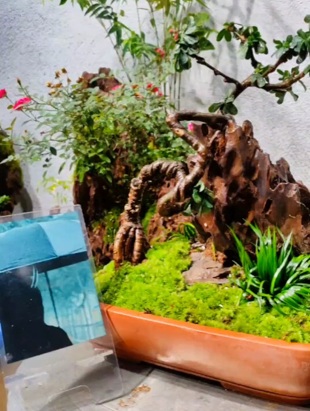 松皮石植物造景微景观
