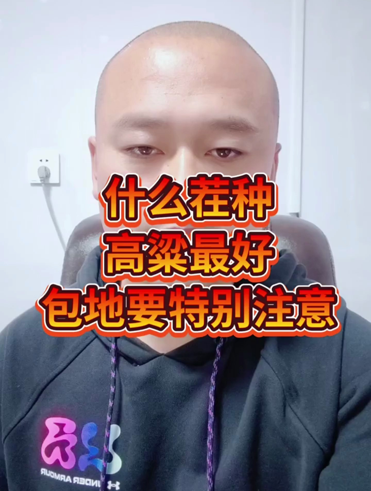 什么茬种高粱最好,包地要特别注意