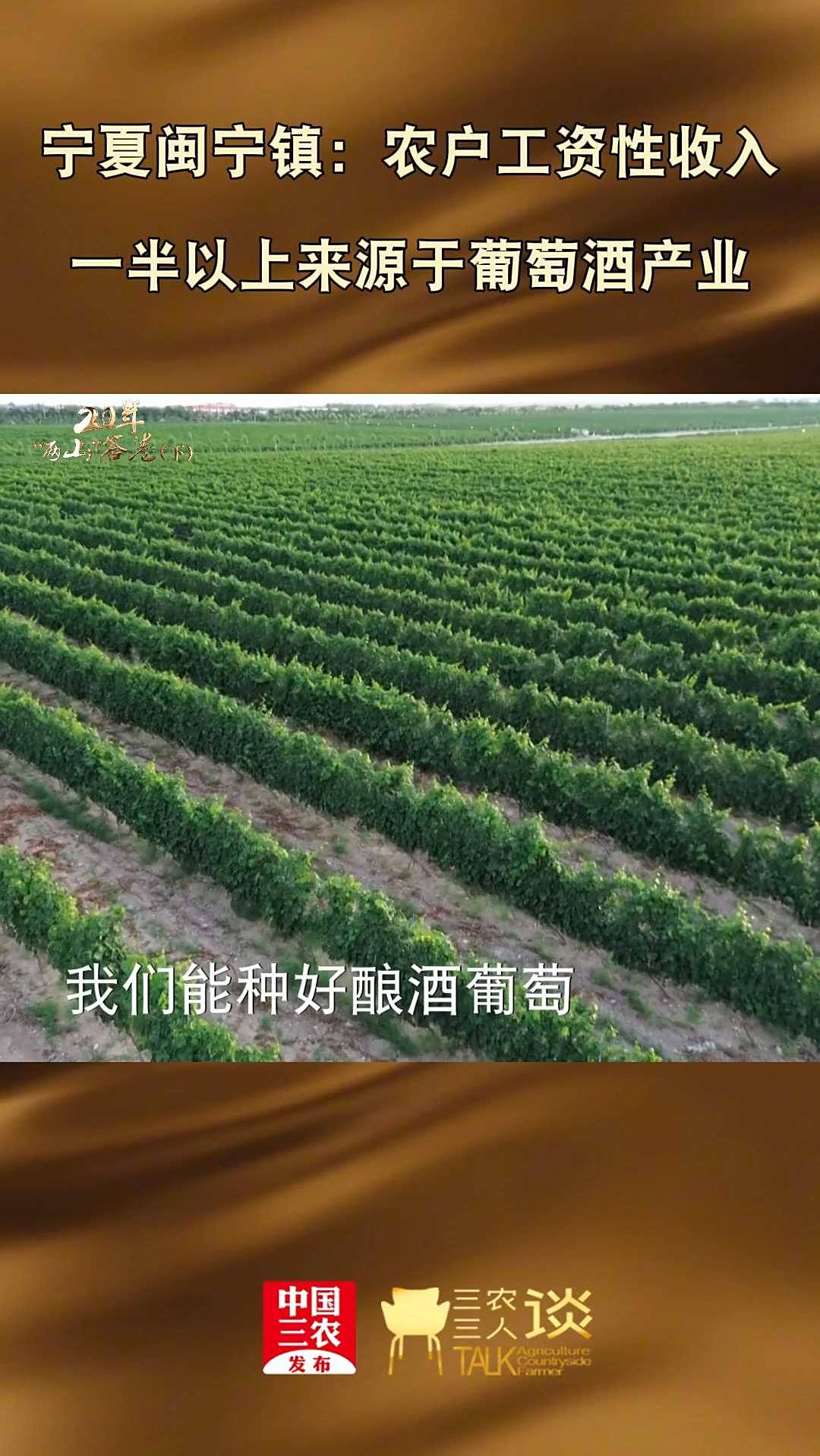 宁夏闽宁镇：农户工资性收入一半以上来源于葡萄酒产业