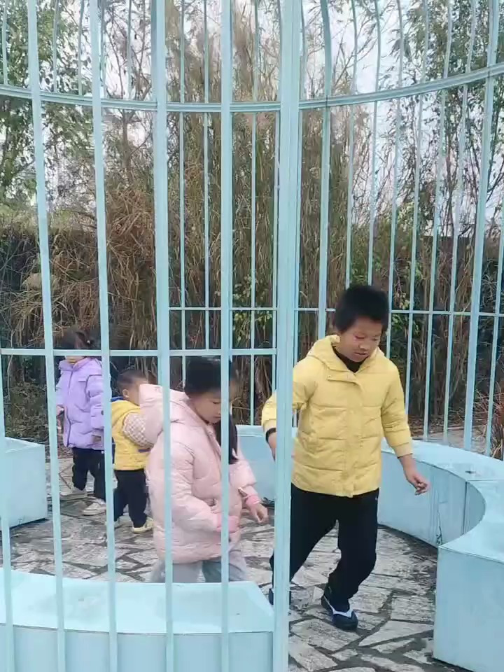 小朋友们的精彩视频