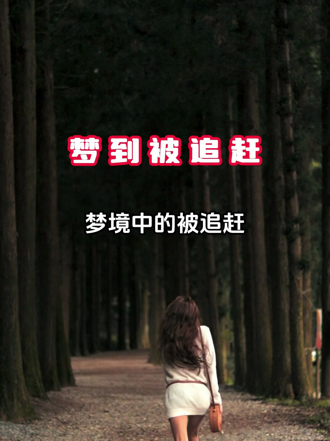 如果你梦到被追赶……