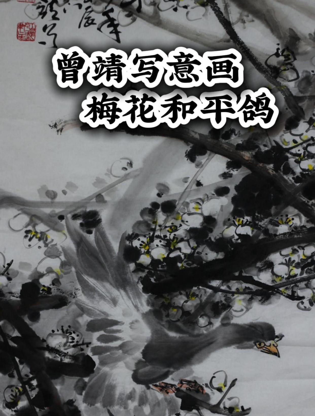 曾靖写意花鸟画梅花和平鸽