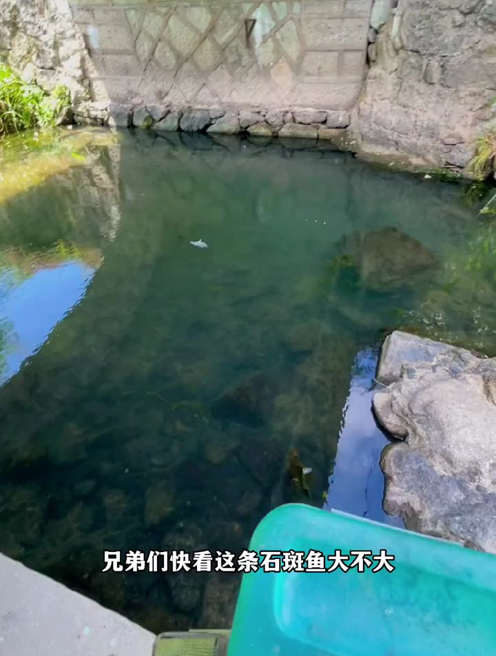 分享一下溪流垂钓小石斑的小技巧,希望对你有帮助!