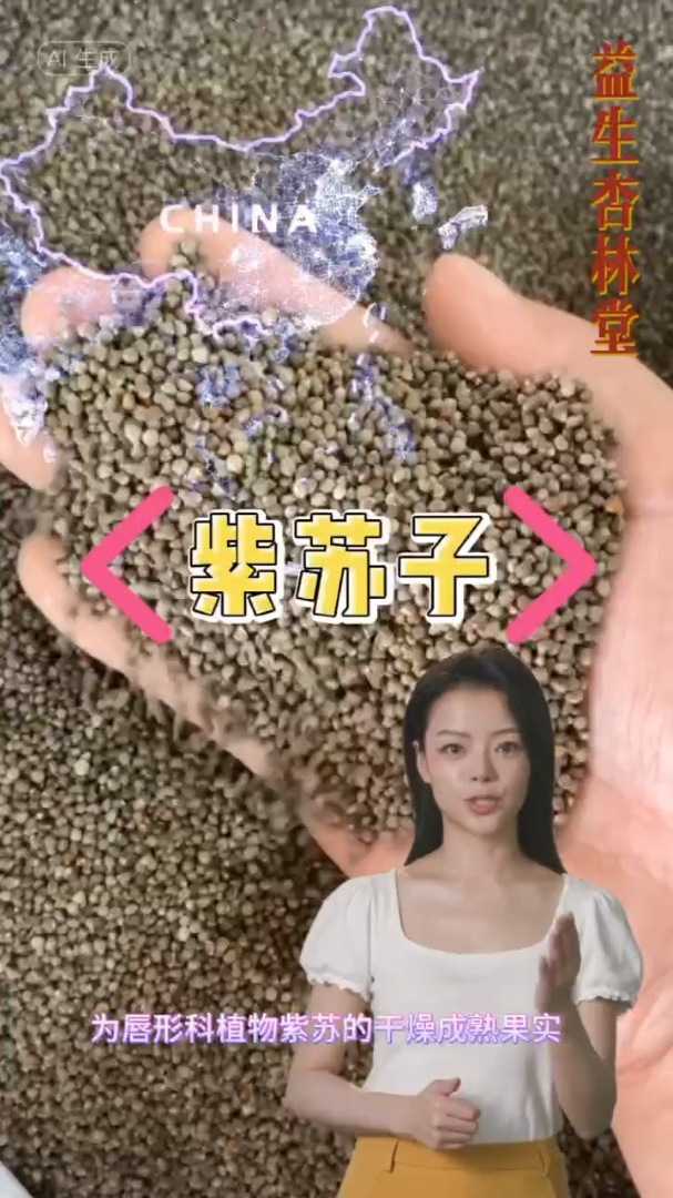 紫苏子的功效和选择,欢迎家人们了解