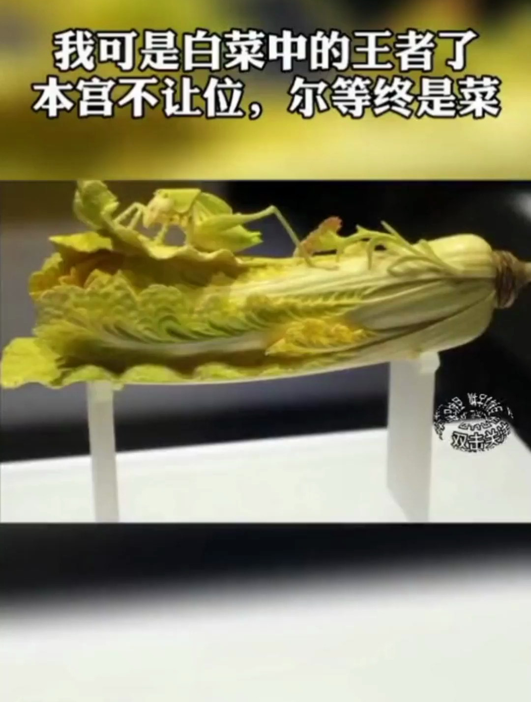 清朝象牙白菜,上面趴着一只蝈蝈还有一朵盛开的鲜花!
