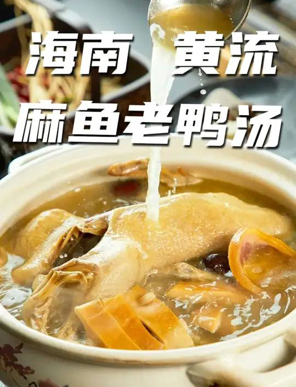 笑不活了,这碗汤太好喝了!海南麻鱼老鸭汤,快来一碗