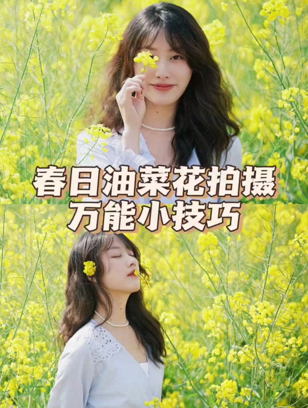 教你5个万能油菜花拍照技巧