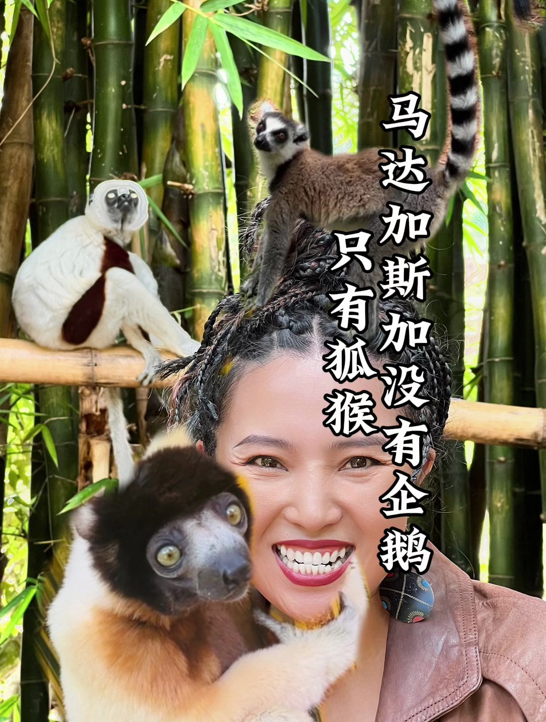 马达加斯加真的没有企鹅,只有濒危物种狐猴,这里是它们的避难所