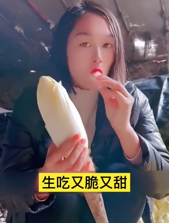 种菜老手教你3招如何种植金玉兰菜,不浇水施肥30天就能多茬采收
