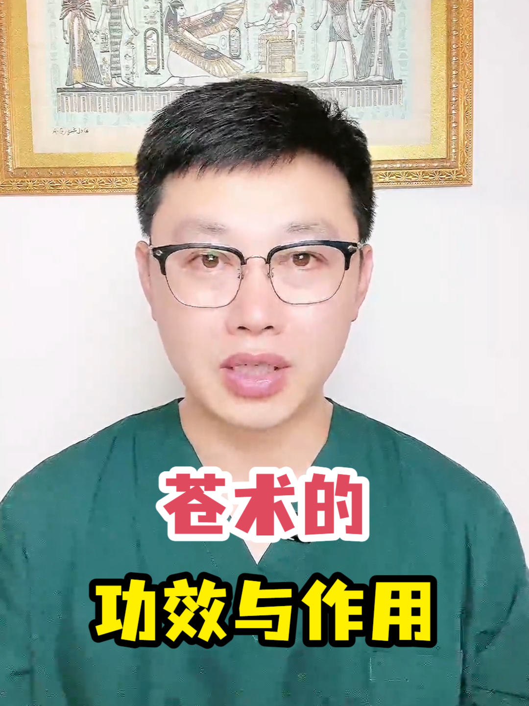 苍术的功效与作用