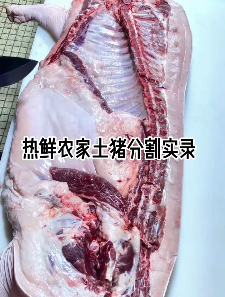 一个普通人的十年,记录每日更新热鲜的土猪肉分割视频