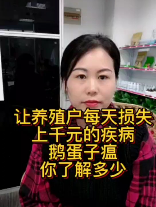 鹅蛋子瘟解剖视频