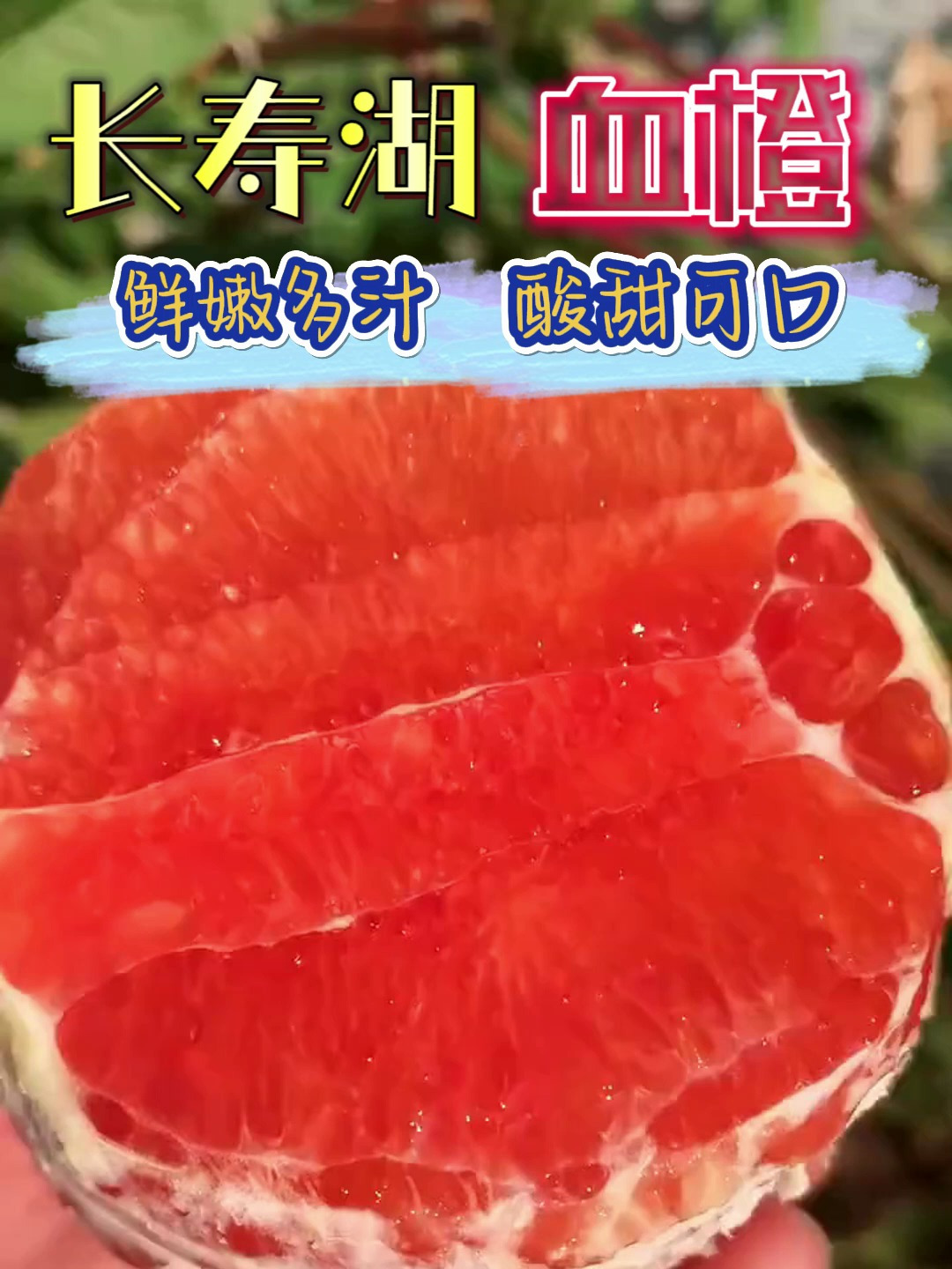 选择长寿湖血橙,让每一口,都成为自然与新鲜的完美结合