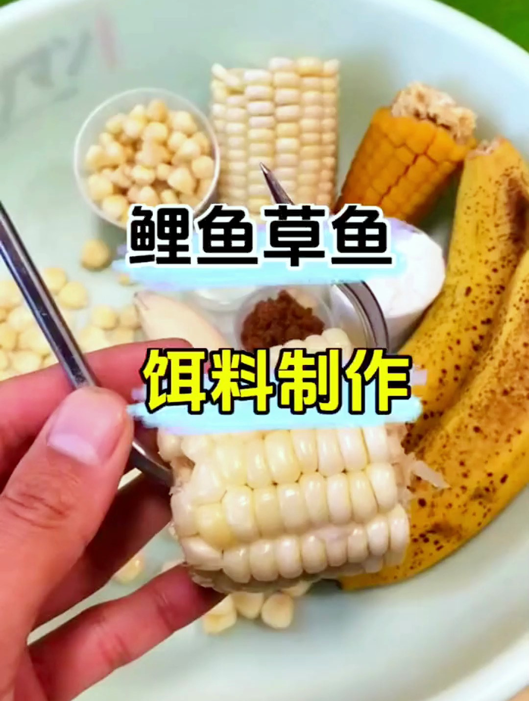 这种自制鱼饵“专钓”大鲤鱼,所用原料很普通,效果好的没话说