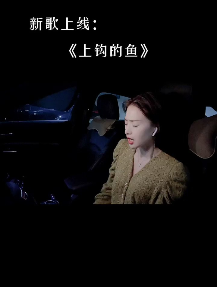 《上钩的鱼》伤感情歌 车里唱歌