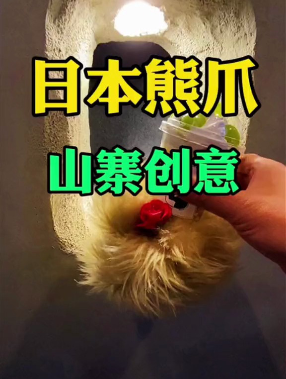 大阪“熊手咖啡”VS上海“熊爪咖啡”山寨还是致敬?