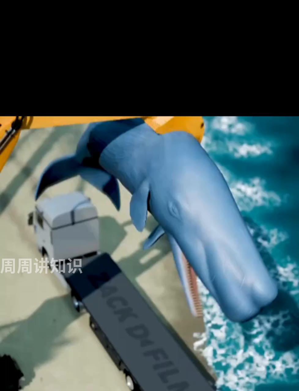 大鲸鱼街头自爆,真事儿!