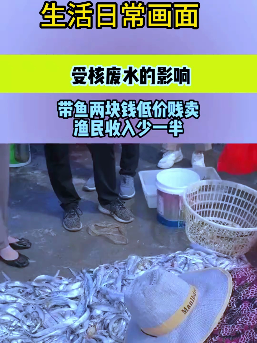 受核废水的影响,带鱼两块钱低价贱卖,渔民收入少一半