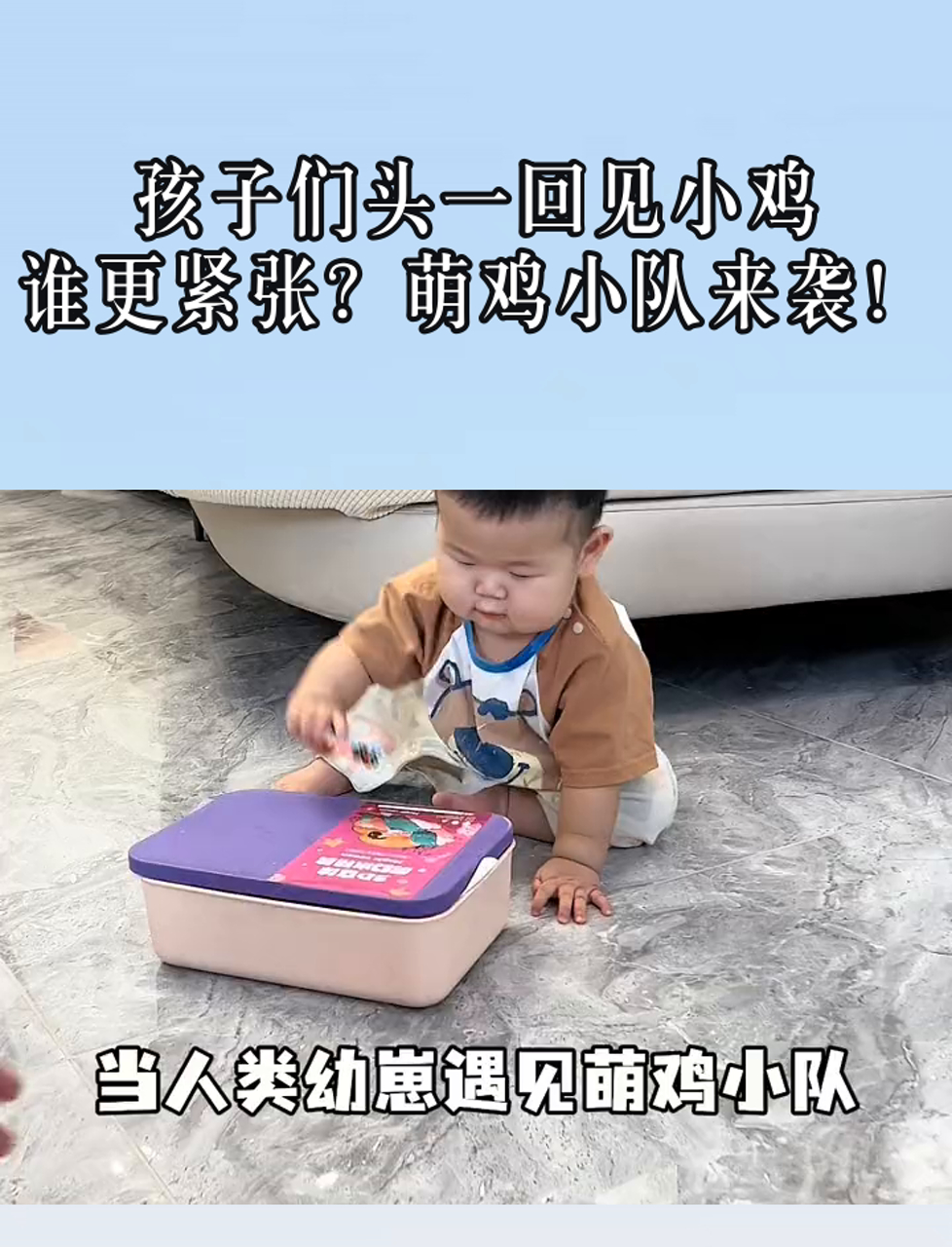 孩子们头一回见小鸡,谁更紧张?萌鸡小队来袭!