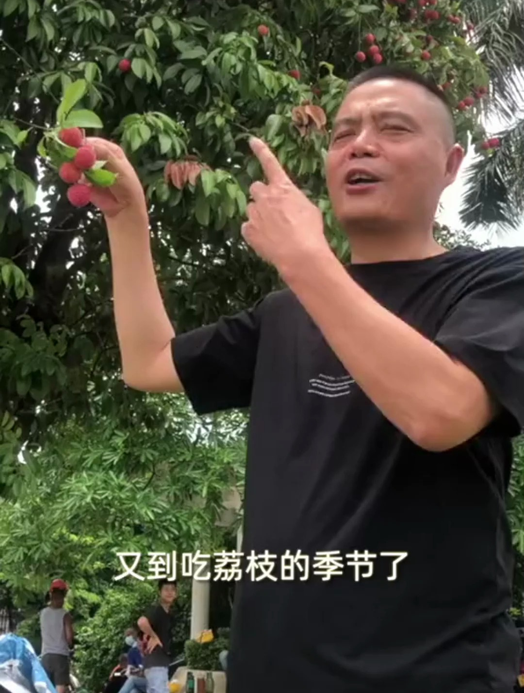 又到吃荔枝的季节,今次教大家用荔枝做个荔枝菜,鲜甜爽口