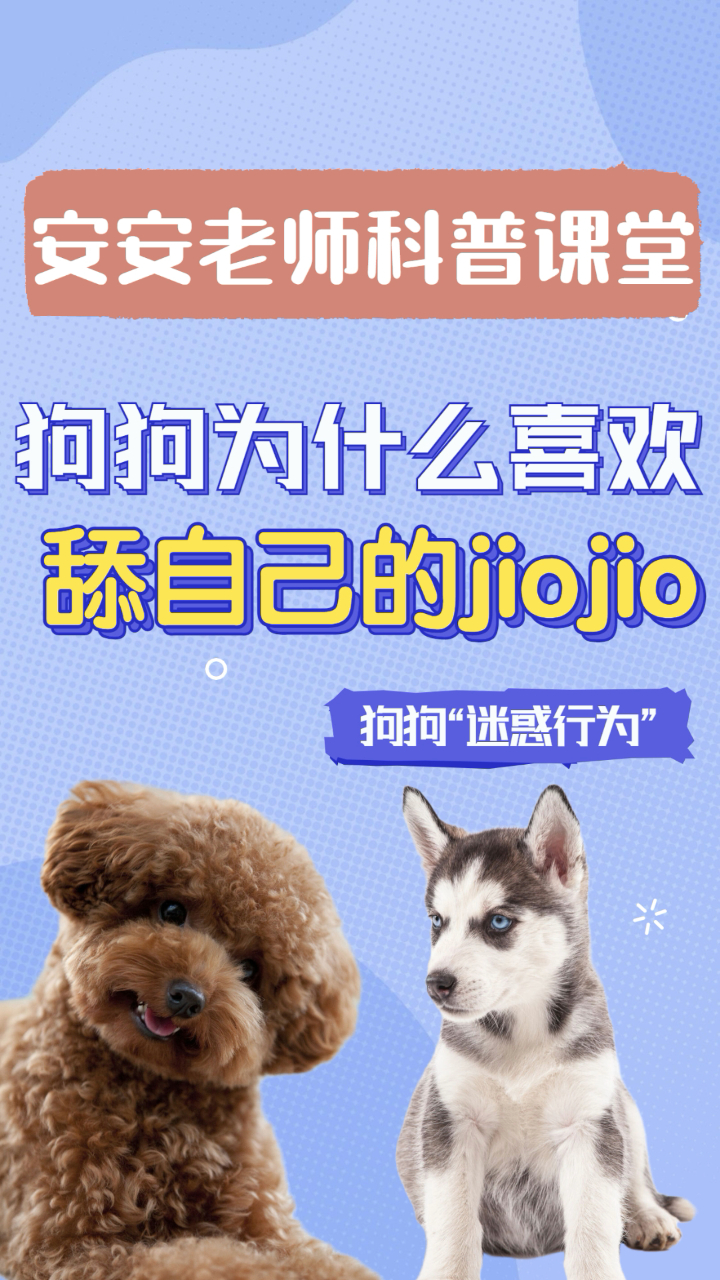 狗狗迷惑行为之狗狗为什么喜欢舔自己的脚呢?