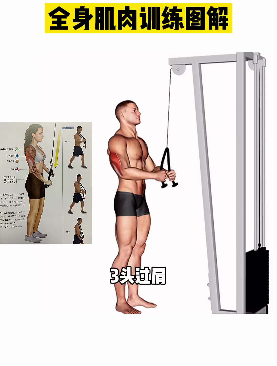 全身肌肉训练详细分解,不会练多看看这本书