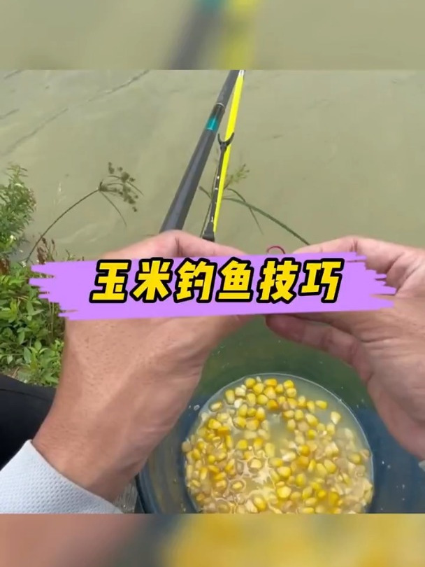 用玉米钓草鱼的小技巧,干货中的干货,一定要看完