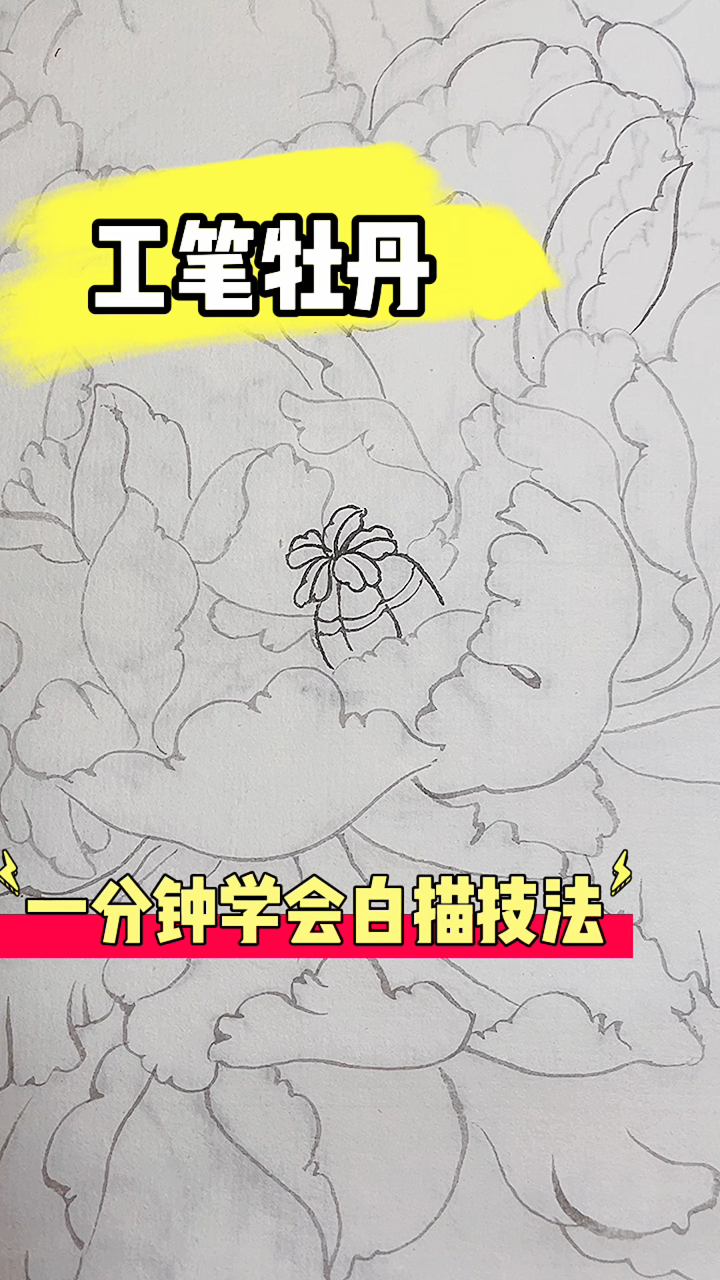 国画工笔牡丹白描画法,线条柔而不弱有节奏感,画法简单你想学吗