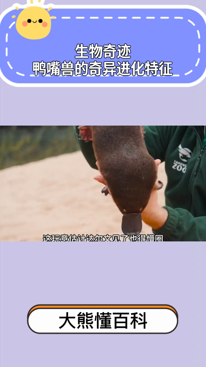 生物奇迹:鸭嘴兽的奇异进化特征