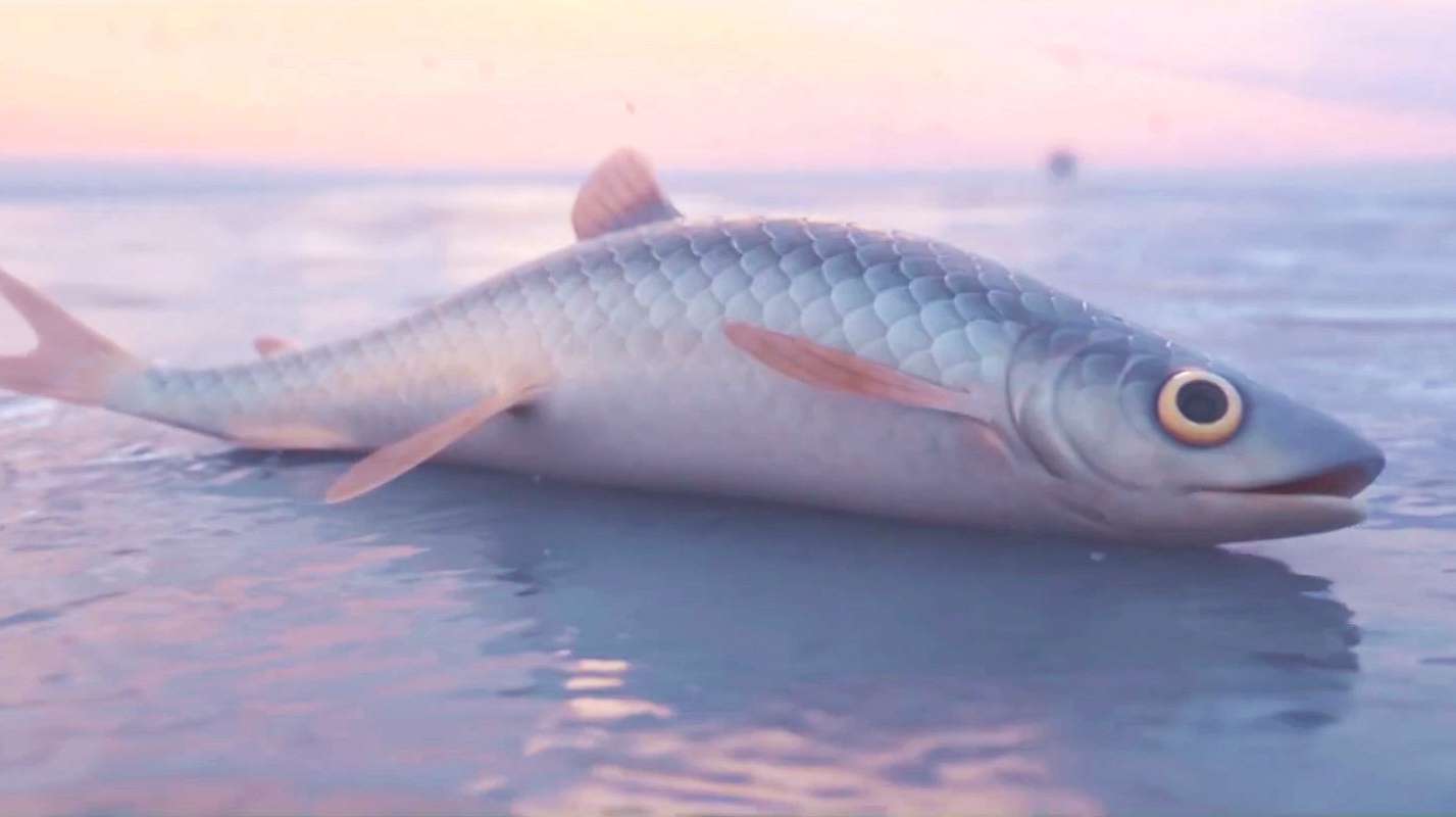 这不是一条简单的鱼,有人甚至拿命来换,一部唯美特效动画