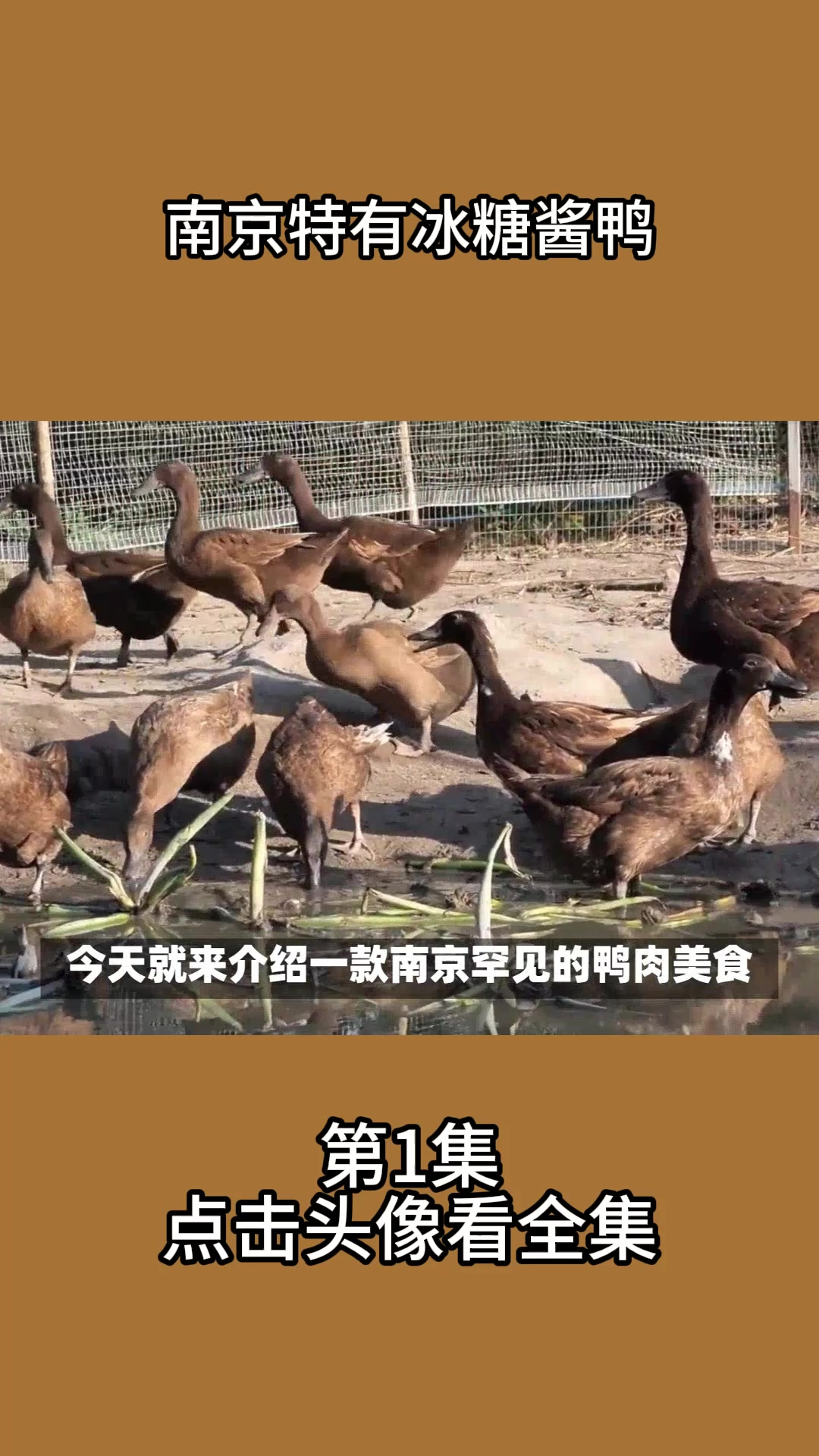 南京特有冰糖酱鸭