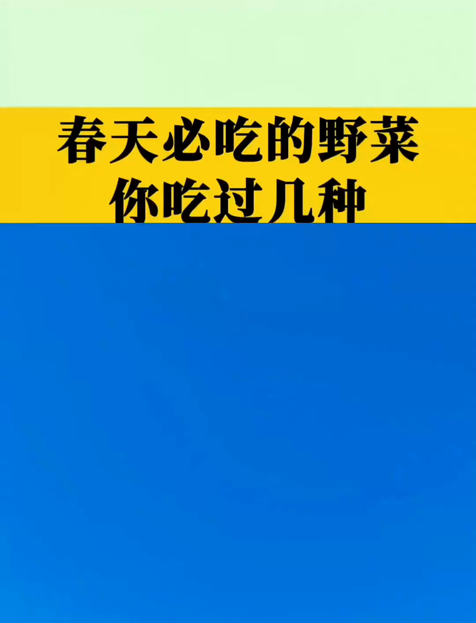 春天必吃的野菜!你吃过几种?
