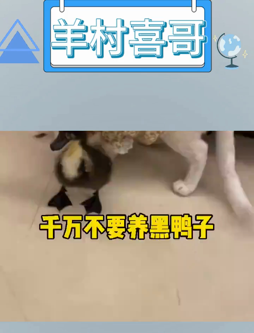 黑鸭夜遁,小心别让它溜走!