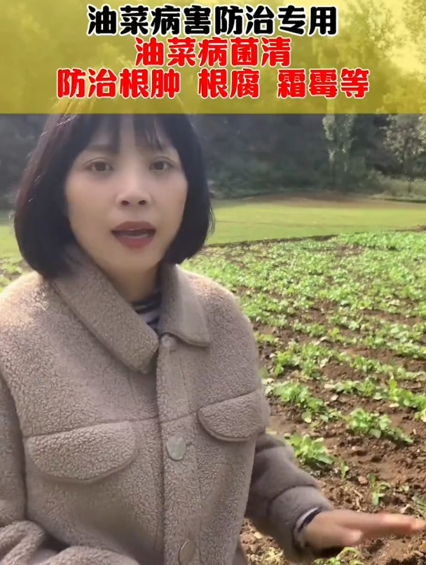油菜病害专用,油菜病菌清,针对油菜菌核病,根腐病等病害