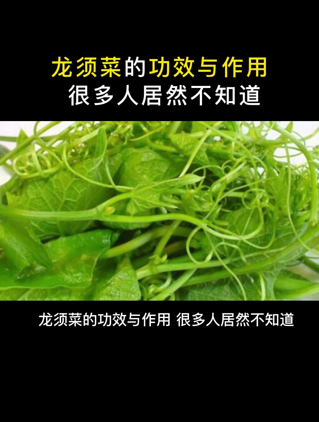 食疗:龙须菜的功效与作用,很多人居然不知道!