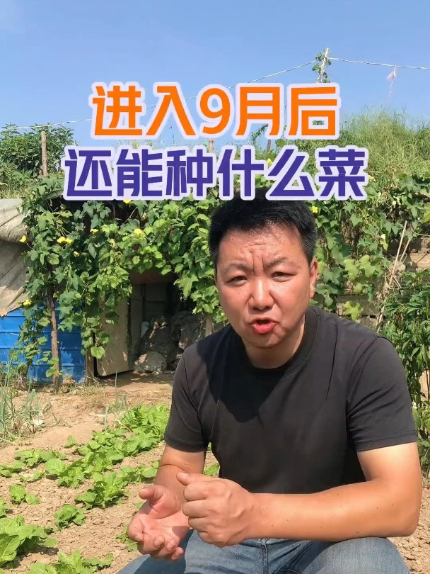 进入9月份,还能种哪些蔬菜?二十四节气种菜口诀蔬菜种子在家