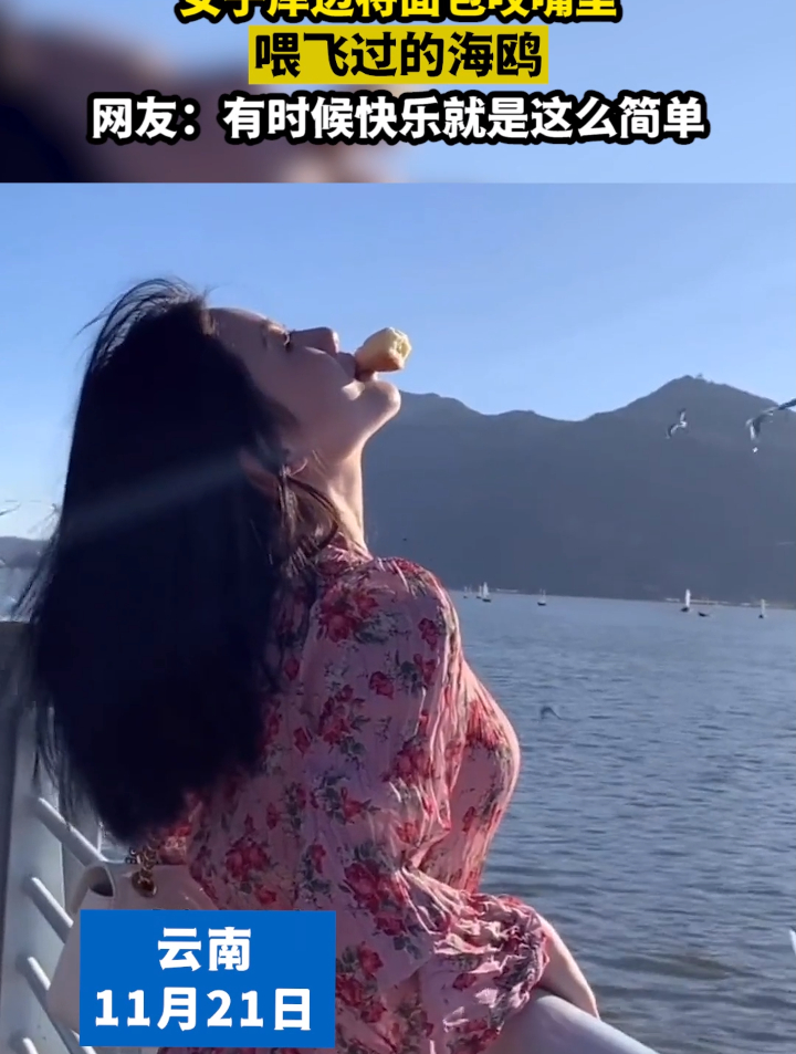 女子岸边将面包咬嘴边,喂飞过的海鸥。网友:快乐就是这么简单