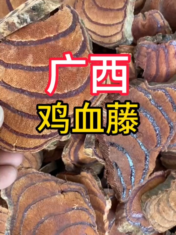 广西鸡血藤,泡水煮水