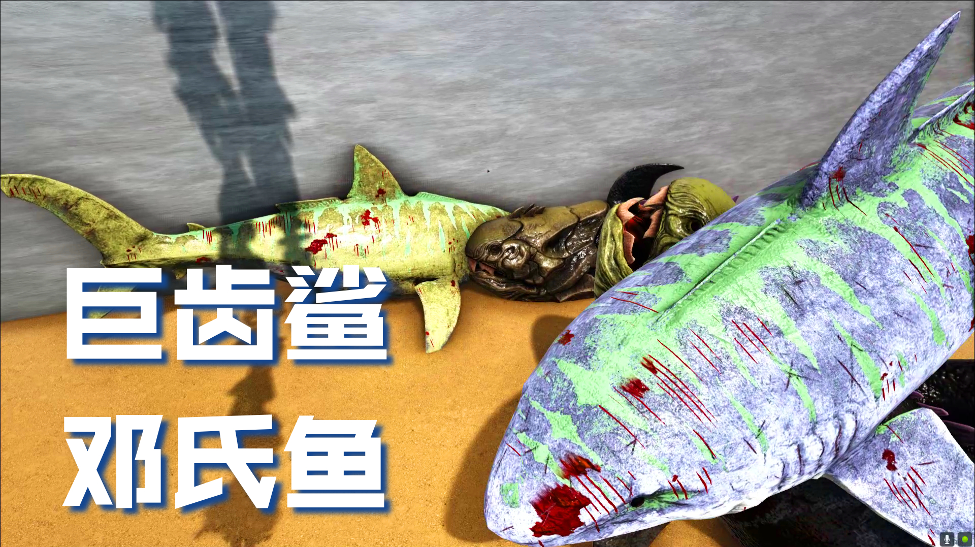 「方舟生存进化」海洋生物对决:巨齿鲨 对战 邓氏鱼