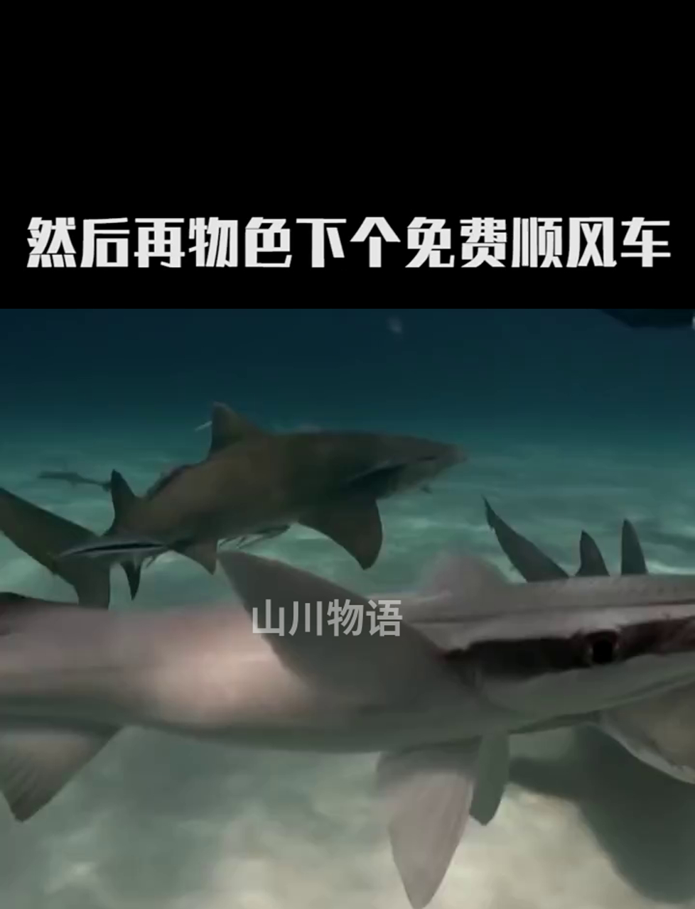这鱼长得跟鞋印似的,还带吸盘呢