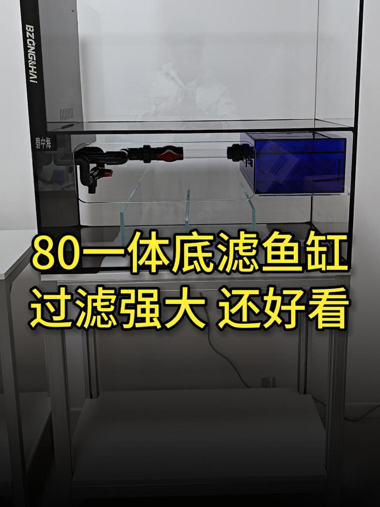 适合在家养鱼的80一体底滤鱼缸,美观和实用性兼顾
