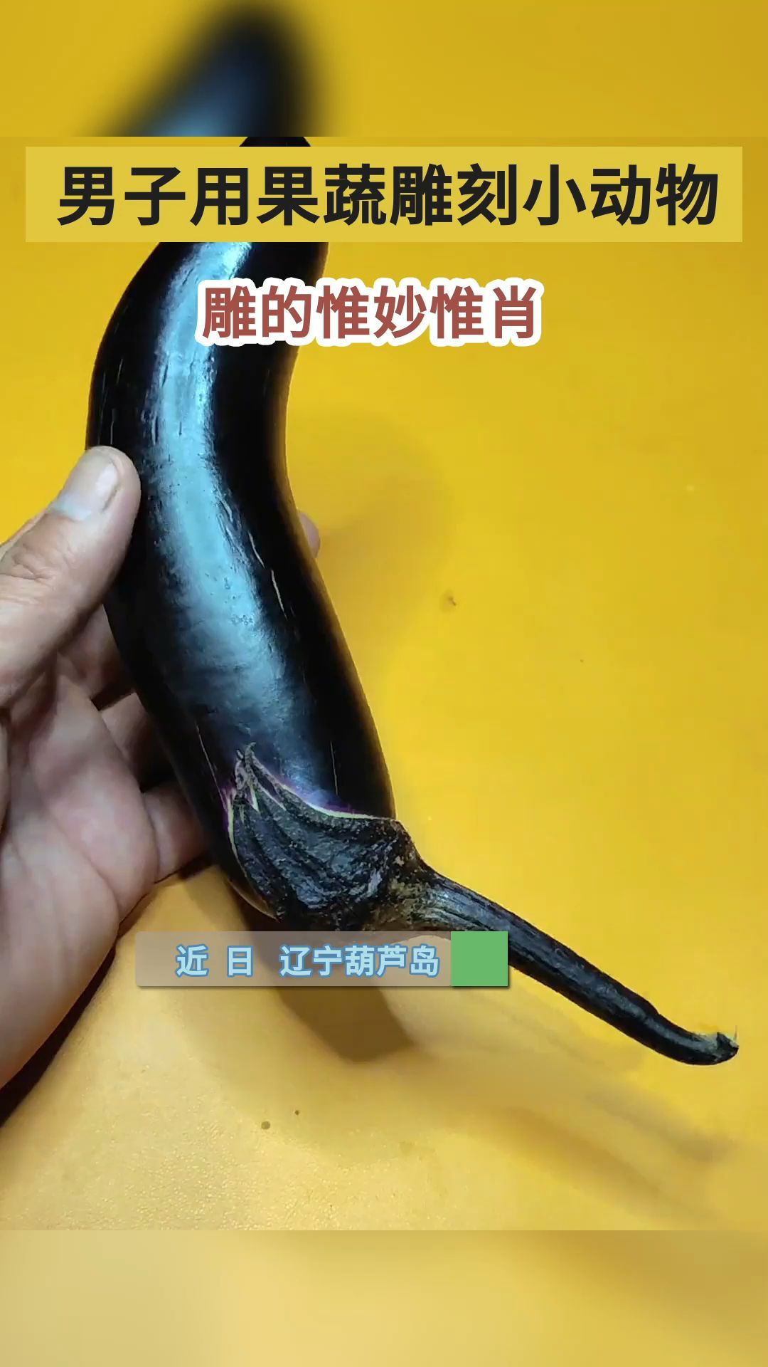 男子用瓜果蔬菜雕刻小动物惟妙惟肖