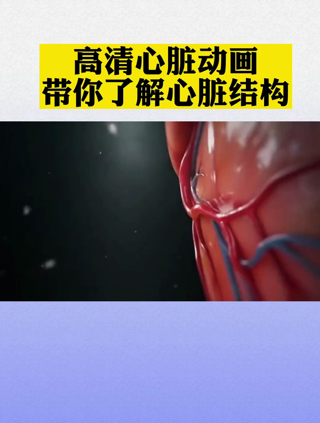 你了解自己的心脏长什么样?高清动画,带你了解心脏结构