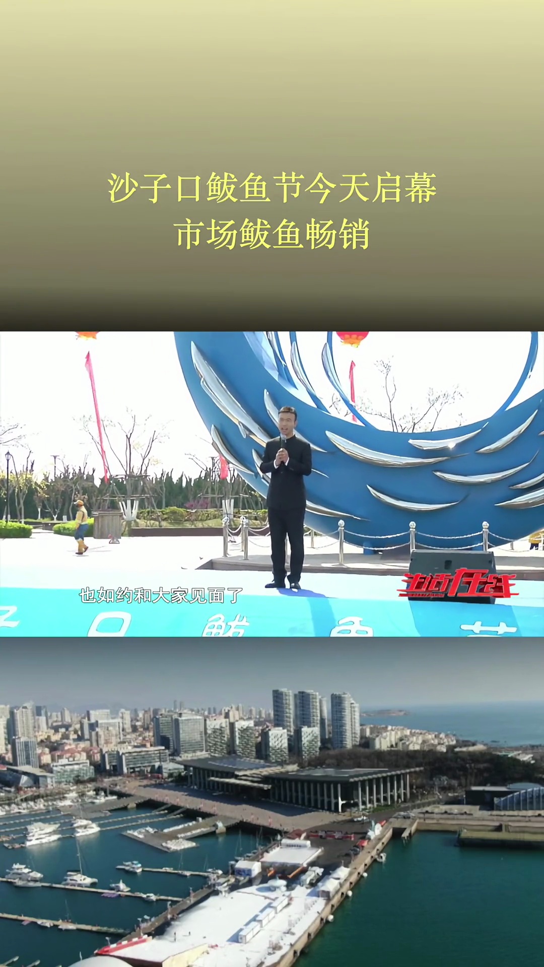 沙子口鲅鱼节今天启幕 市场鲅鱼畅销