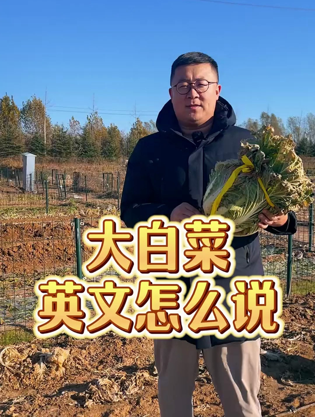 大白菜英文怎么说?