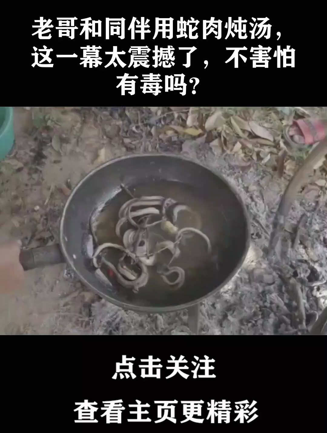 老哥和同伴用蛇肉炖汤,这一幕太震撼了,不害怕有毒吗?