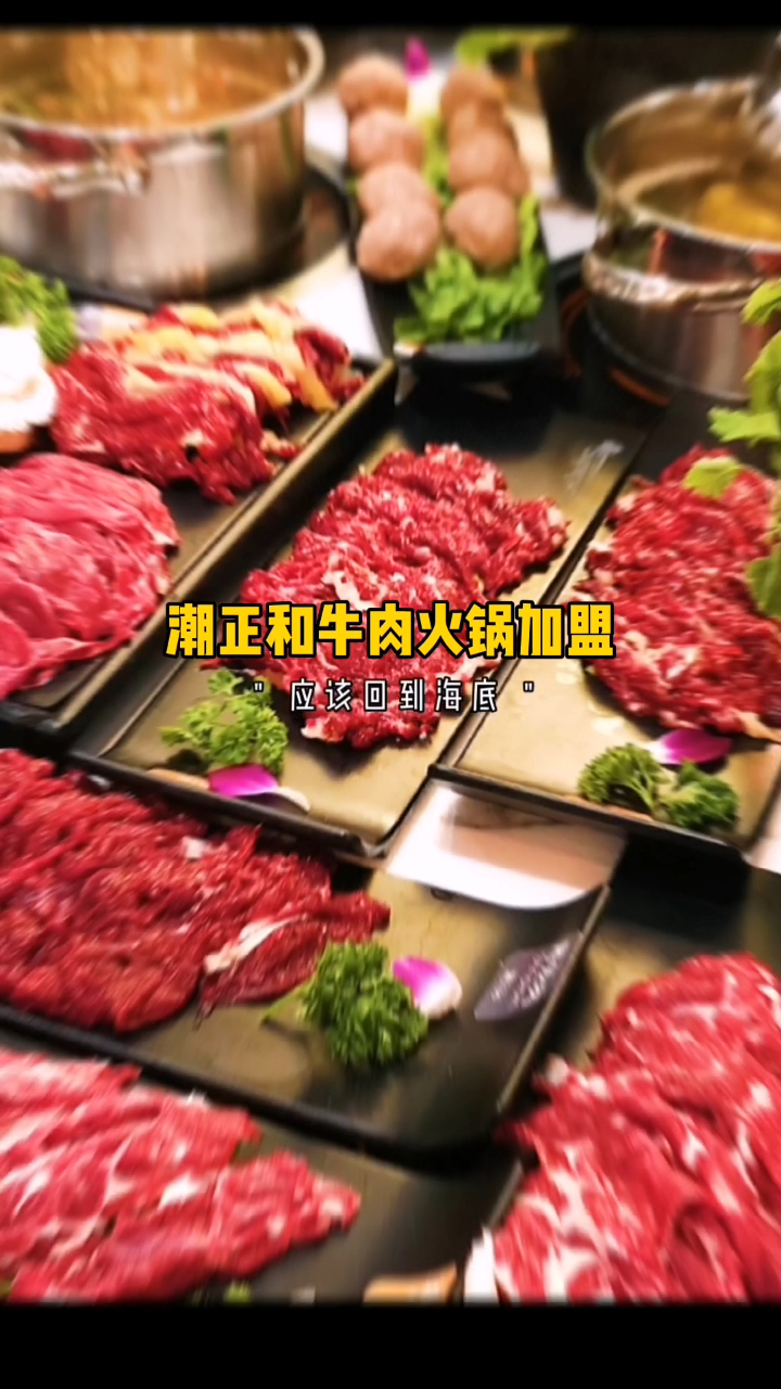 潮汕牛肉火锅招商,0经验开店,送设备+补贴,省心经营