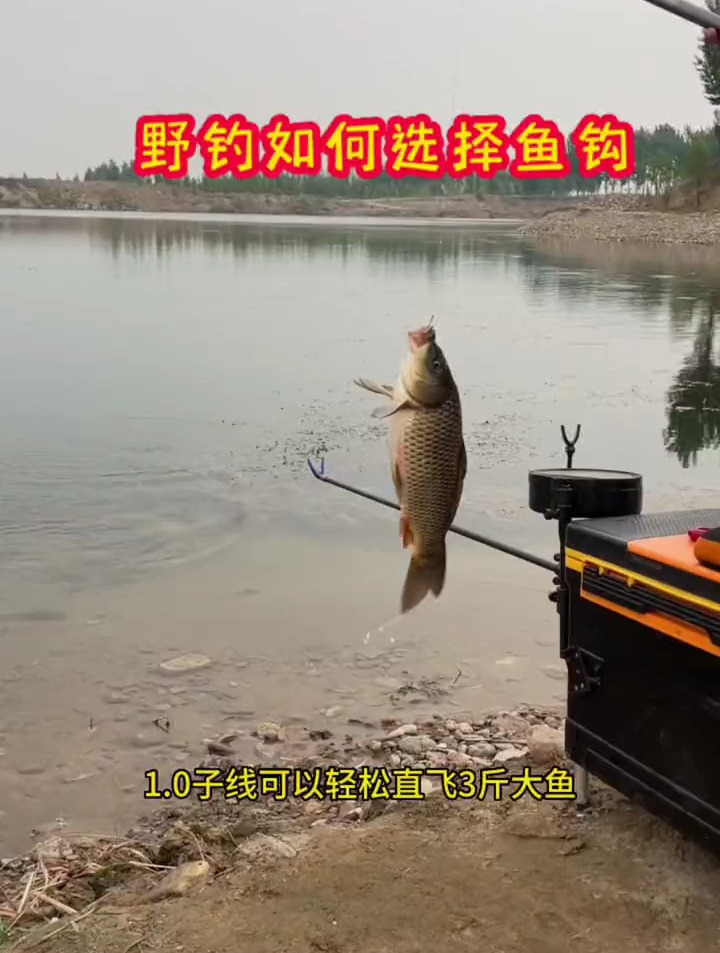 野钓该如何选择鱼钩?讲解伊势尼鱼钩,不爱跑鱼的两大优点!